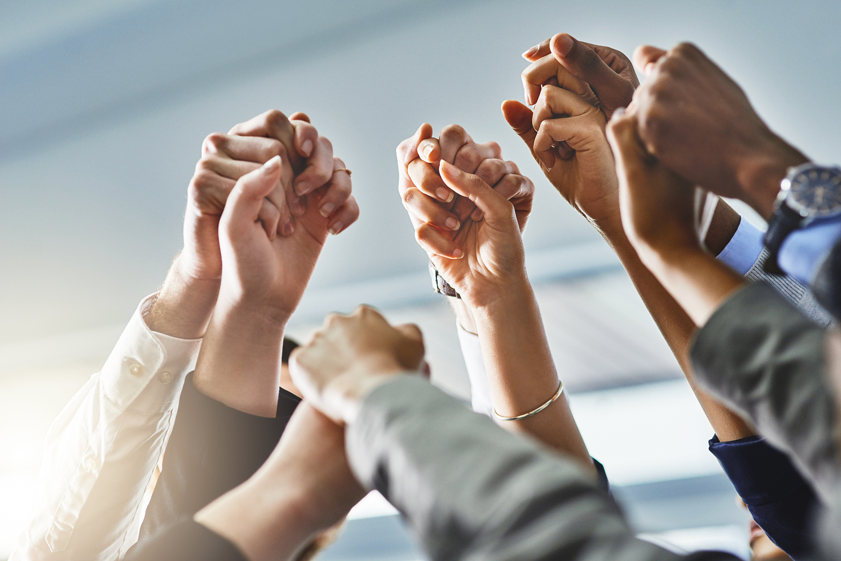 问鼎app下载苹果